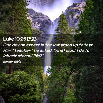 Picture 02 - Luke 10:25 BSB - One day an expert in the law stood up to test - Bible Verse Picture