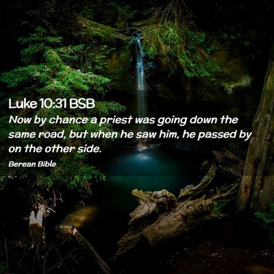 Picture 02 - Luke 10:31 BSB - Now by chance a priest was going down the same - Bible Verse Picture