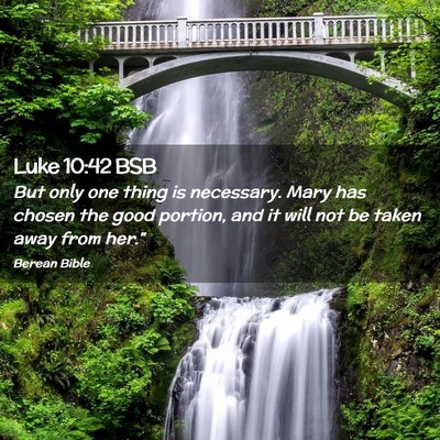 Picture 02 - Luke 10:42 BSB - But only one thing is necessary. Mary has chosen - Bible Verse Picture