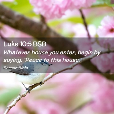 Picture 02 - Luke 10:5 BSB - Whatever house you enter, begin by saying, - Bible Verse Picture