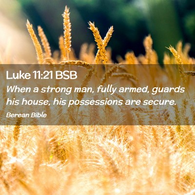 Picture 02 - Luke 11:21 BSB - When a strong man, fully armed, guards his house, - Bible Verse Picture