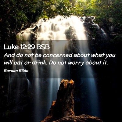 Picture 02 - Luke 12:29 BSB - And do not be concerned about what you will eat - Bible Verse Picture