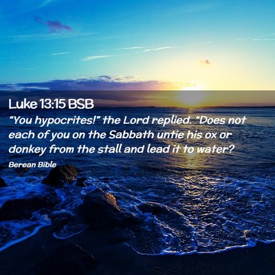 Picture 02 - Luke 13:15 BSB - “You hypocrites!” the Lord replied. “Does - Bible Verse Picture