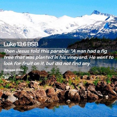 Picture 02 - Luke 13:6 BSB - Then Jesus told this parable: “A man had a fig - Bible Verse Picture