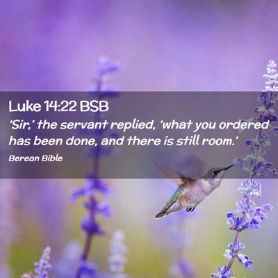Picture 02 - Luke 14:22 BSB - ‘Sir,’ the servant replied, ‘what you - Bible Verse Picture