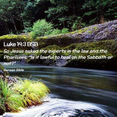 Picture 02 - Luke 14:3 BSB - So Jesus asked the experts in the law and the - Bible Verse Picture