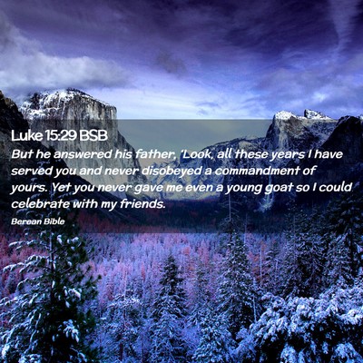 Picture 02 - Luke 15:29 BSB - But he answered his father, ‘Look, all these - Bible Verse Picture