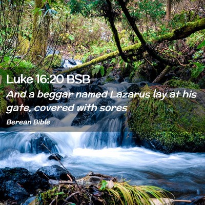 Picture 02 - Luke 16:20 BSB - And a beggar named Lazarus lay at his gate, - Bible Verse Picture