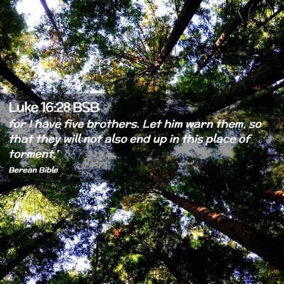 Picture 02 - Luke 16:28 BSB - for I have five brothers. Let him warn them, so - Bible Verse Picture