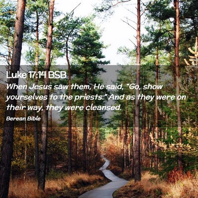 Picture 02 - Luke 17:14 BSB - When Jesus saw them, He said, “Go, show - Bible Verse Picture