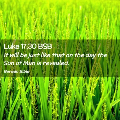 Picture 02 - Luke 17:30 BSB - It will be just like that on the day the Son of - Bible Verse Picture