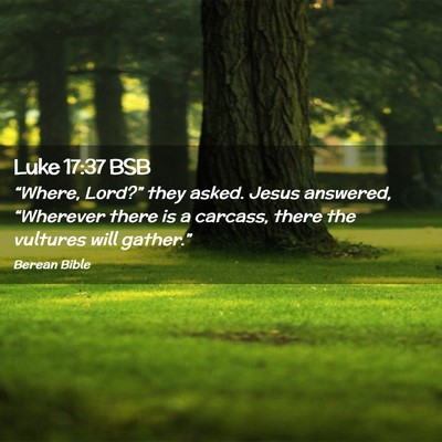 Picture 02 - Luke 17:37 BSB - “Where, Lord?” they asked. Jesus answered, - Bible Verse Picture