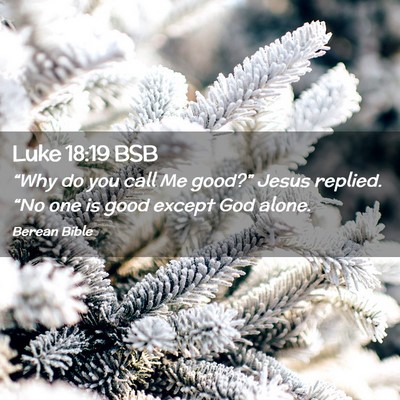 Picture 02 - Luke 18:19 BSB - “Why do you call Me good?” Jesus replied. - Bible Verse Picture