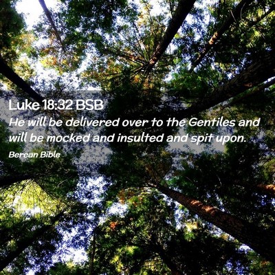 Picture 02 - Luke 18:32 BSB - He will be delivered over to the Gentiles and - Bible Verse Picture