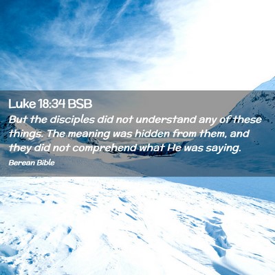Picture 02 - Luke 18:34 BSB - But the disciples did not understand any of these - Bible Verse Picture