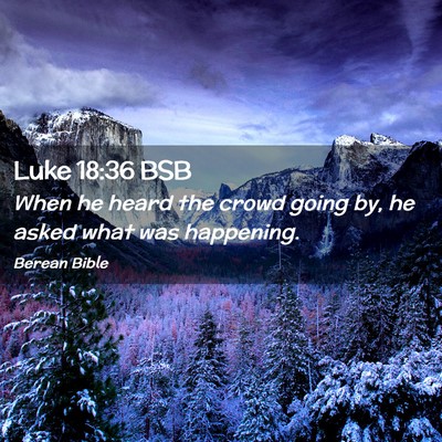 Picture 02 - Luke 18:36 BSB - When he heard the crowd going by, he asked what - Bible Verse Picture