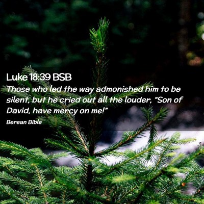 Picture 02 - Luke 18:39 BSB - Those who led the way admonished him to be - Bible Verse Picture