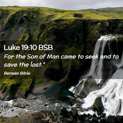 Picture 02 - Luke 19:10 BSB - For the Son of Man came to seek and to save the - Bible Verse Picture
