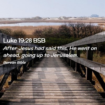 Picture 02 - Luke 19:28 BSB - After Jesus had said this, He went on ahead, - Bible Verse Picture