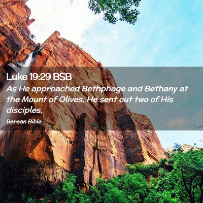 Picture 02 - Luke 19:29 BSB - As He approached Bethphage and Bethany at the - Bible Verse Picture