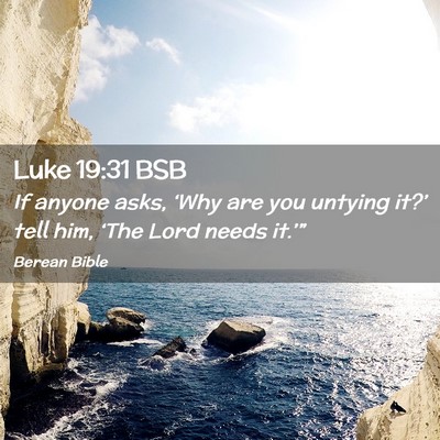 Picture 02 - Luke 19:31 BSB - If anyone asks, ‘Why are you untying it?’ - Bible Verse Picture