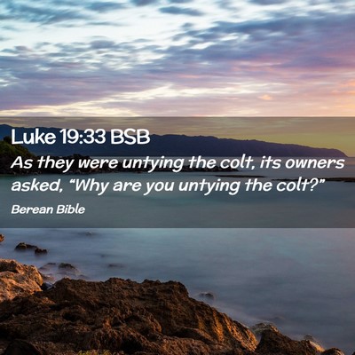 Picture 02 - Luke 19:33 BSB - As they were untying the colt, its owners asked, - Bible Verse Picture