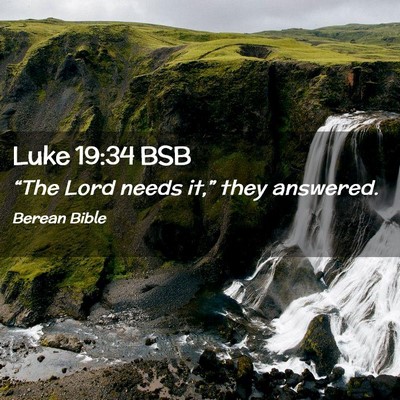 Picture 02 - Luke 19:34 BSB - “The Lord needs it,” they - Bible Verse Picture