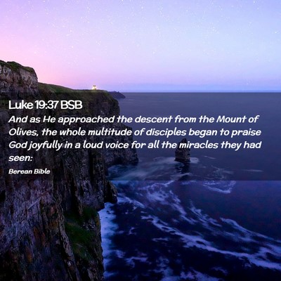 Picture 02 - Luke 19:37 BSB - And as He approached the descent from the Mount - Bible Verse Picture