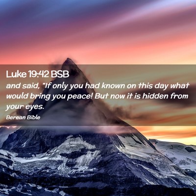 Picture 02 - Luke 19:42 BSB - and said, “If only you had known on this day - Bible Verse Picture