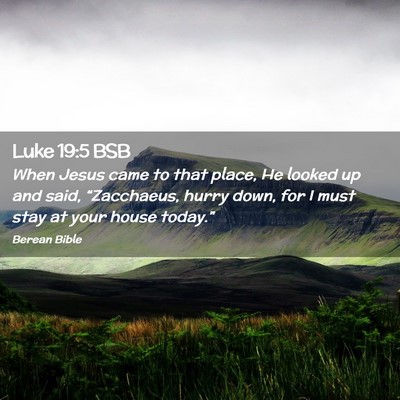 Picture 02 - Luke 19:5 BSB - When Jesus came to that place, He looked up and - Bible Verse Picture