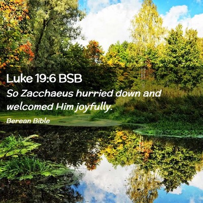 Picture 02 - Luke 19:6 BSB - So Zacchaeus hurried down and welcomed Him - Bible Verse Picture