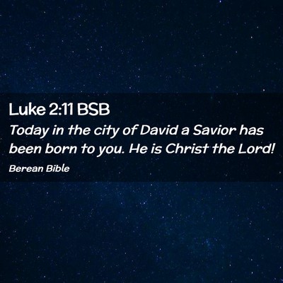 Picture 02 - Luke 2:11 BSB - Today in the city of David a Savior has been born - Bible Verse Picture