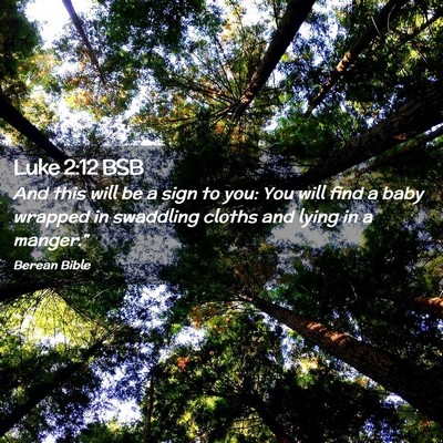 Picture 02 - Luke 2:12 BSB - And this will be a sign to you: You will find a - Bible Verse Picture