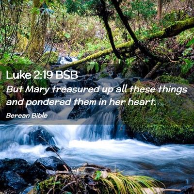 Picture 02 - Luke 2:19 BSB - But Mary treasured up all these things and - Bible Verse Picture