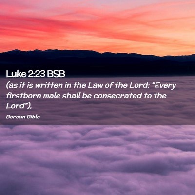 Picture 02 - Luke 2:23 BSB - (as it is written in the Law of the Lord: - Bible Verse Picture