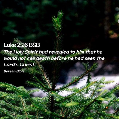 Picture 02 - Luke 2:26 BSB - The Holy Spirit had revealed to him that he would - Bible Verse Picture