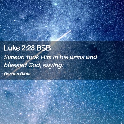 Picture 02 - Luke 2:28 BSB - Simeon took Him in his arms and blessed God, - Bible Verse Picture