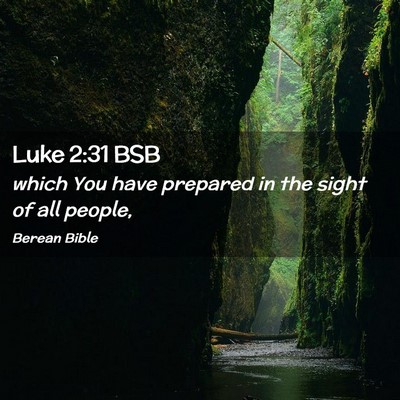 Picture 02 - Luke 2:31 BSB - which You have prepared in the sight of all - Bible Verse Picture