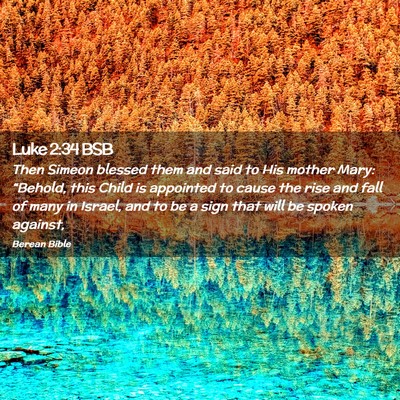 Picture 02 - Luke 2:34 BSB - Then Simeon blessed them and said to His mother - Bible Verse Picture