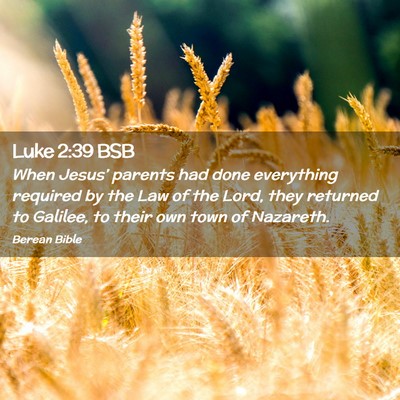 Picture 02 - Luke 2:39 BSB - When Jesus’ parents had done everything - Bible Verse Picture