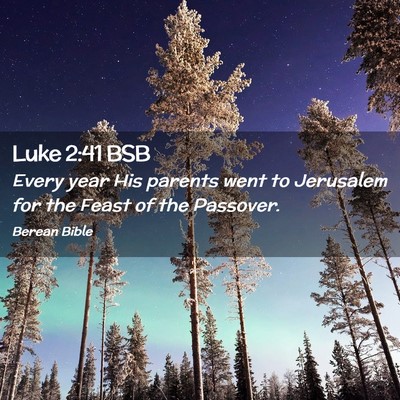 Picture 02 - Luke 2:41 BSB - Every year His parents went to Jerusalem for the - Bible Verse Picture