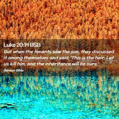 Picture 02 - Luke 20:14 BSB - But when the tenants saw the son, they discussed - Bible Verse Picture