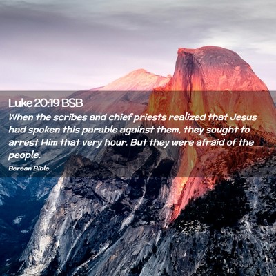 Picture 02 - Luke 20:19 BSB - When the scribes and chief priests realized that - Bible Verse Picture