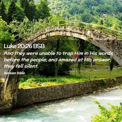 Picture 02 - Luke 20:26 BSB - And they were unable to trap Him in His words - Bible Verse Picture