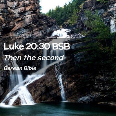 Picture 02 - Luke 20:30 BSB - Then the - Bible Verse Picture