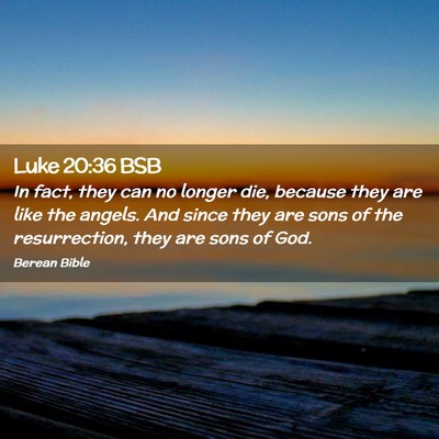 Picture 02 - Luke 20:36 BSB - In fact, they can no longer die, because they are - Bible Verse Picture