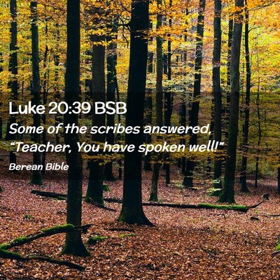 Picture 02 - Luke 20:39 BSB - Some of the scribes answered, “Teacher, You - Bible Verse Picture