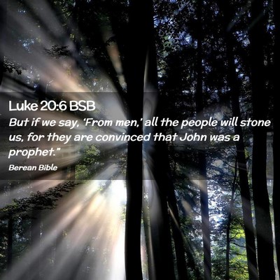 Picture 02 - Luke 20:6 BSB - But if we say, ‘From men,’ all the people - Bible Verse Picture