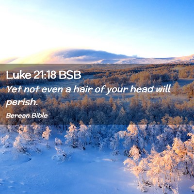 Picture 02 - Luke 21:18 BSB - Yet not even a hair of your head will - Bible Verse Picture
