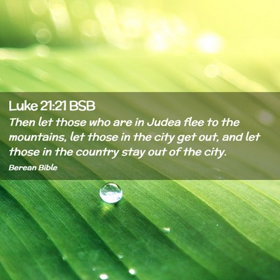 Picture 02 - Luke 21:21 BSB - Then let those who are in Judea flee to the - Bible Verse Picture